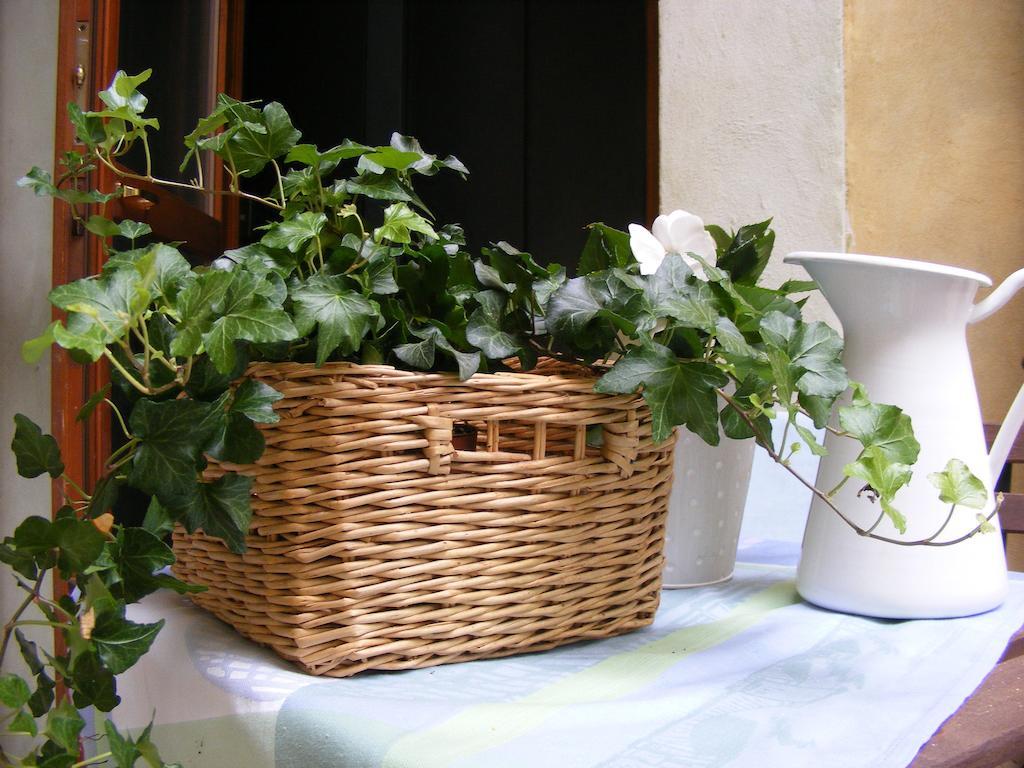 B&B Borgo Re Teodorico Verona Exteriör bild